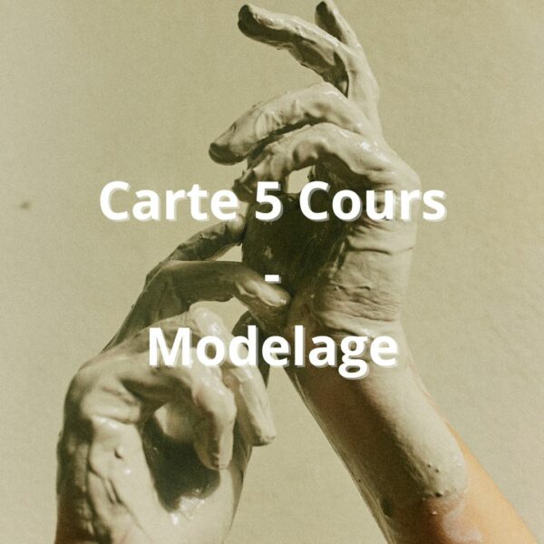 Carte 5 cours - Modelage